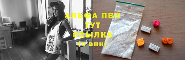 тгк Абаза