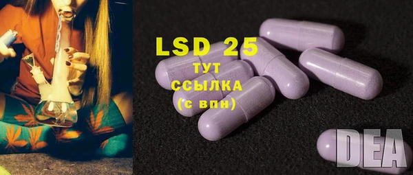 тгк Абаза