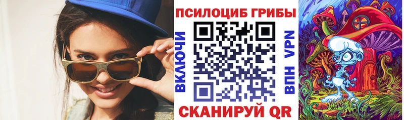 Псилоцибиновые грибы мицелий Чкаловск
