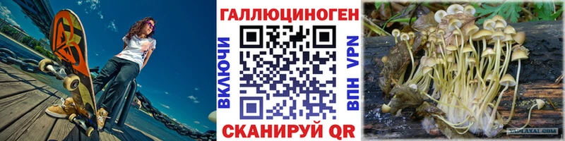 даркнет сайт  Чкаловск  Псилоцибиновые грибы мухоморы 